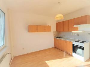 Pronájem bytu 1+1, Písek, Dr. M. Horákové, 40 m2