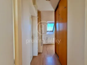 Pronájem bytu 2+kk, Bílovice nad Svitavou, Lesní, 54 m2