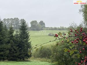 Prodej pole, Netolice, Za Mnichem, 20452 m2