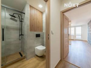 Pronájem bytu 1+kk, Ostrava, Na Obvodu, 27 m2