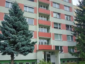 Prodej bytu 1+1, Mladá Boleslav, Na Radouči, 41 m2