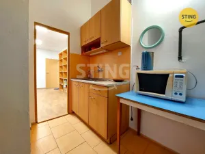 Pronájem obchodního prostoru, Jihlava, Demlova, 140 m2