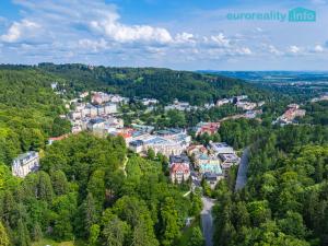 Prodej atypického bytu, Mariánské Lázně, Třebízského, 213 m2