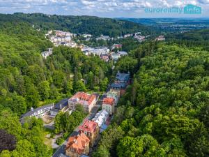 Prodej atypického bytu, Mariánské Lázně, Třebízského, 213 m2