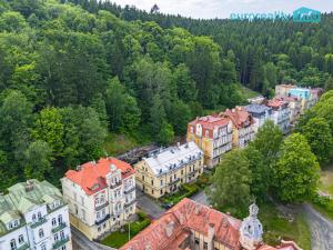 Prodej atypického bytu, Mariánské Lázně, Třebízského, 213 m2