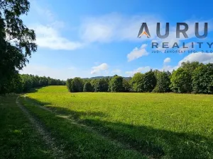 Prodej louky, Blatno, 34886 m2