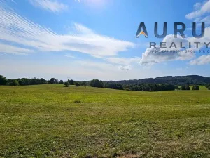 Prodej louky, Blatno, 34886 m2