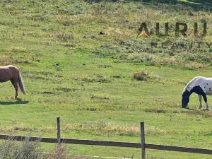 Prodej louky, Blatno, 34886 m2