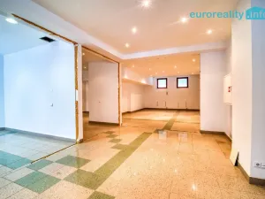 Prodej atypického bytu, Karlovy Vary, Zámecký vrch, 301 m2