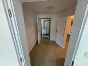 Pronájem bytu 1+kk, Plzeň, Rejskova, 54 m2