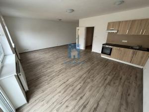 Pronájem bytu 1+kk, Plzeň, Rejskova, 54 m2