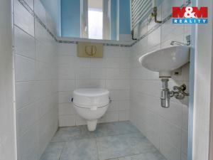 Prodej rodinného domu, Velká Hleďsebe, Pohraniční stráže, 153 m2