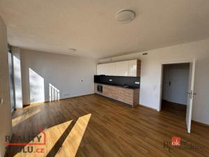 Pronájem bytu 1+kk, Svitávka, Školní, 37 m2