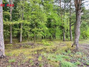 Prodej zemědělské usedlosti, Nezabudice, 230 m2