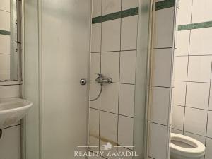 Prodej bytu 1+1, Bílina, Sídliště Za Chlumem, 35 m2