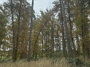 Prodej podílu pozemku, Dolní Lukavice, 43384 m2