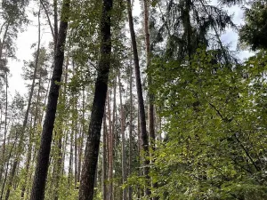 Prodej podílu pozemku, Velký Ratmírov, 3510 m2