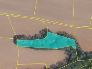 Prodej podílu pozemku, Nosálov, 3734 m2