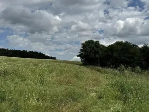 Prodej podílu pozemku, Suchdol, 9027 m2