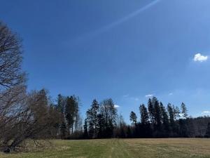 Prodej podílu pozemku, Studená, 18432 m2