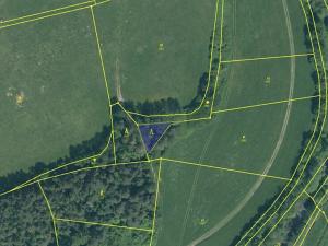 Prodej podílu lesa, Malenice, 3819 m2