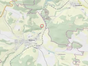 Prodej podílu lesa, Malenice, 3819 m2