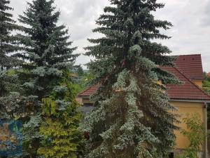 Pronájem bytu 3+1, Řevnice, Selecká, 105 m2