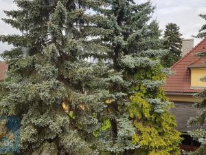 Pronájem bytu 3+1, Řevnice, Selecká, 105 m2