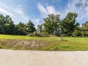 Prodej pozemku pro bydlení, Týnec nad Sázavou - Podělusy, 958 m2