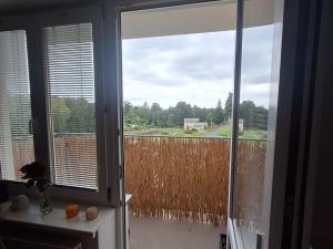 Prodej bytu 2+kk, Plesná, Kostelní, 42 m2