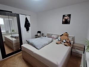 Prodej bytu 2+kk, Plesná, Kostelní, 42 m2