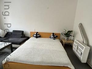 Pronájem bytu 1+1, Brno - Staré Brno, Kopečná, 44 m2