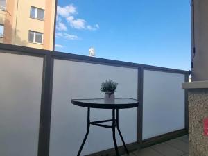 Pronájem bytu 2+1, Mokrá-Horákov, 50 m2