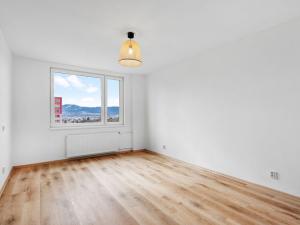 Prodej bytu 3+1, Liberec - Liberec XIV-Ruprechtice, Rychtářská, 60 m2