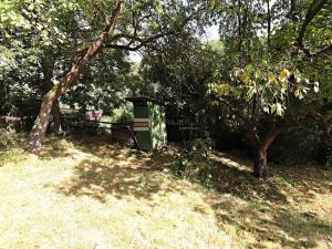 Prodej chaty, Nezabudice, 65 m2