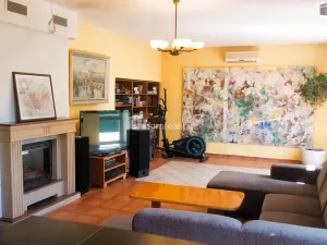 Prodej rodinného domu, Hodonín, Plucárna, 303 m2