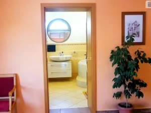 Prodej rodinného domu, Hodonín, Plucárna, 303 m2