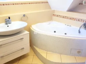 Prodej rodinného domu, Hodonín, Plucárna, 303 m2