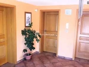 Prodej rodinného domu, Hodonín, Plucárna, 303 m2