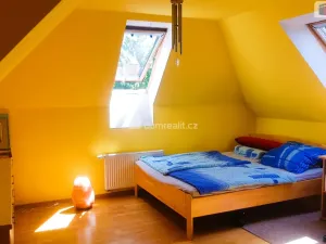 Prodej rodinného domu, Hodonín, Plucárna, 303 m2