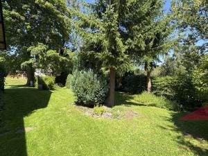 Prodej chalupy, Kašperské Hory - Červená, 242 m2