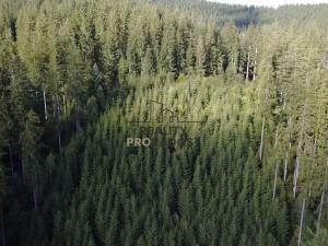 Prodej pozemku pro bydlení, Velké Karlovice, 45173 m2