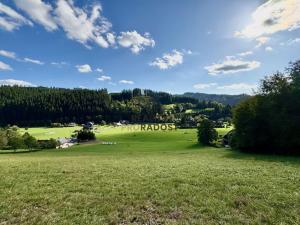 Prodej pozemku pro bydlení, Velké Karlovice, 45173 m2