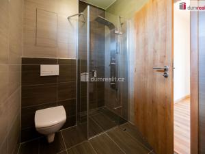 Prodej bytu 3+kk, Černá v Pošumaví, 52 m2