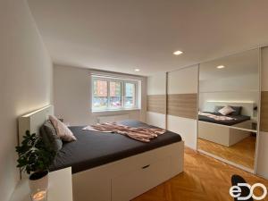 Pronájem bytu 2+kk, Mladá Boleslav, S. K. Neumanna, 67 m2