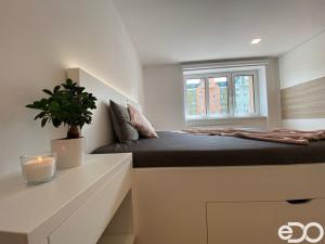 Pronájem bytu 2+kk, Mladá Boleslav, S. K. Neumanna, 67 m2