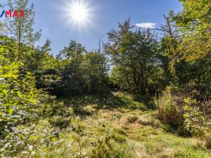 Prodej pozemku pro bydlení, Přestavlky u Čerčan, 725 m2