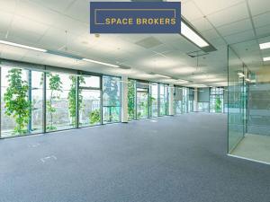 Pronájem kanceláře, Praha - Chodov, V parku, 3000 m2