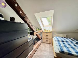 Pronájem bytu 3+kk, Brno, Výpravní, 100 m2