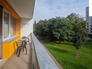 Prodej bytu 1+kk, Pardubice, Gagarinova, 38 m2